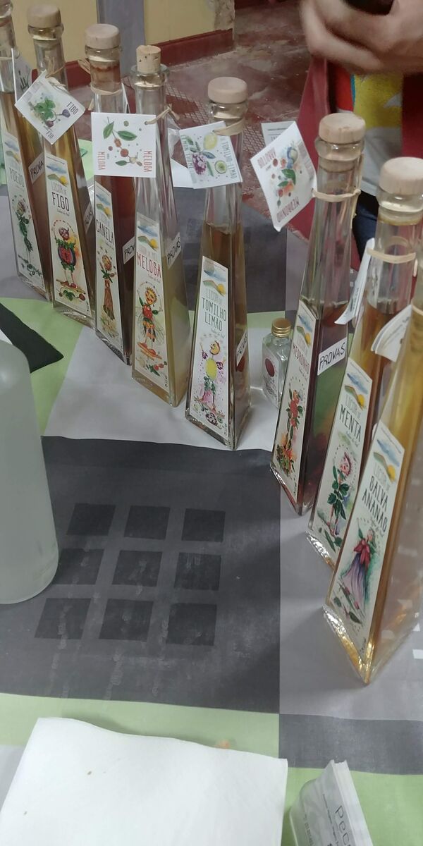 Prova de azeites e licores na Pecoliva, em São Brás de Alportel.