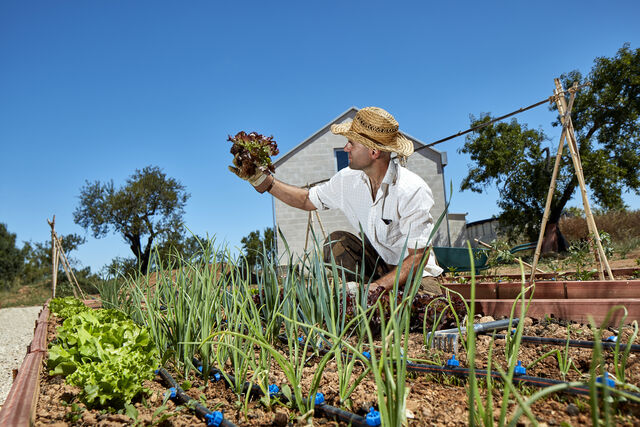 Monte Alamo, onde há uma horta com iguarias da região.