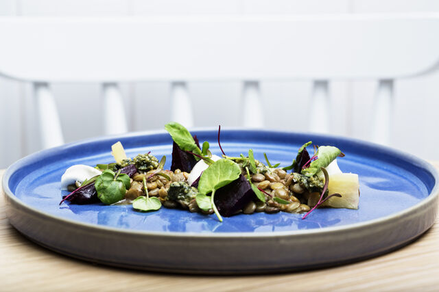 Salada de lentilhas, beterraba, sour cream e pesto de hortelã