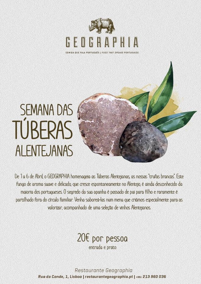 Provar as cozinhas do mundo no Geographia