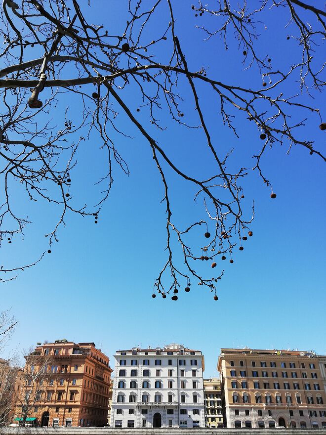 Na rua Lungotevere dei Mellini, em Roma