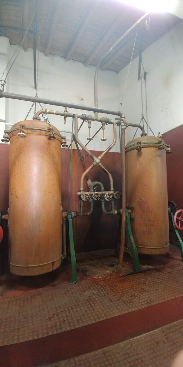 Prova de azeites e licores na Pecoliva, em São Brás de Alportel.