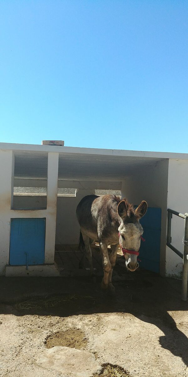 Quinta Eventos, onde é possível realizar um workshop de pão com Josefina Saias. 