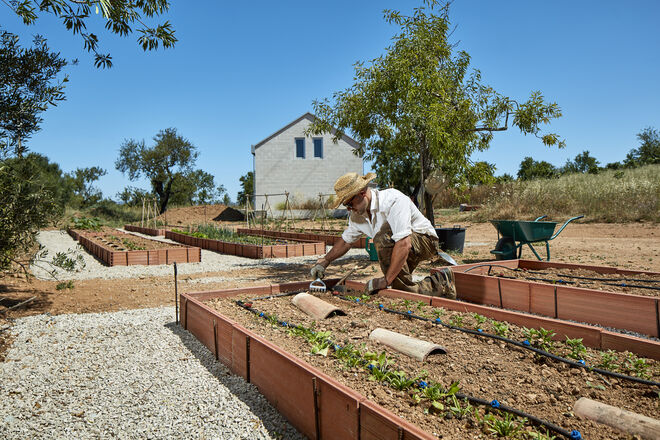 Monte Alamo, onde há uma horta com produtos da região.