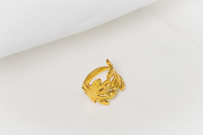 Anel Folha Castanheiro, €55, Açaí com Granola