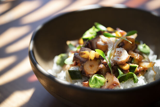 Poke Tako, com polvo, kyuri (o pepino japonês), cebola roxa, creme de abacate, coentros, alga Nori, lima, molho Kimchi e milho crocante