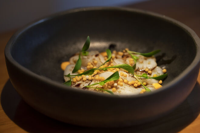 Sashimi Scallops XO, vieiras braseadas, Dynamite aioli (picante), molho de sésamo e lima Kaffir