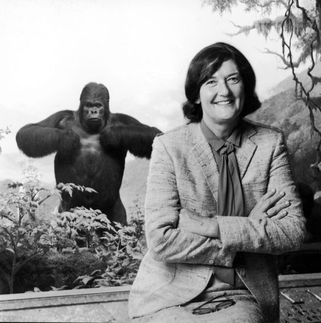 Dian Fossey