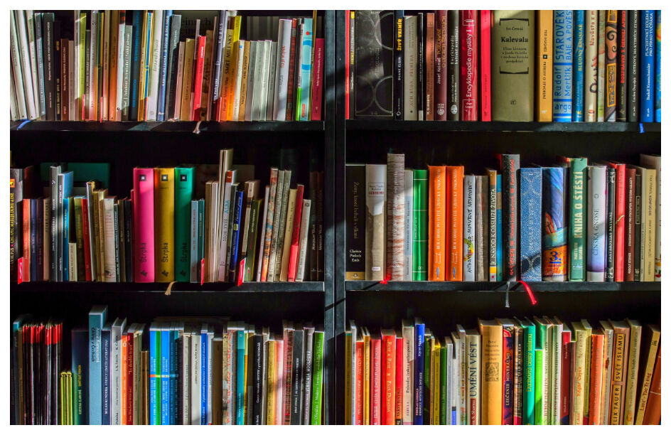 Dia Mundial do Livro é celebrado com os versos de Sophia de Mello Breyner