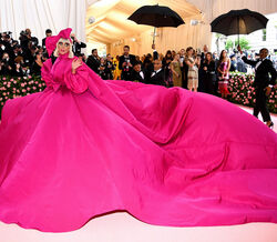 A excêntrica passadeira rosa da Met Gala 2019