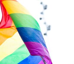 Passadeiras em Campolide com as cores da bandeira LGBTI