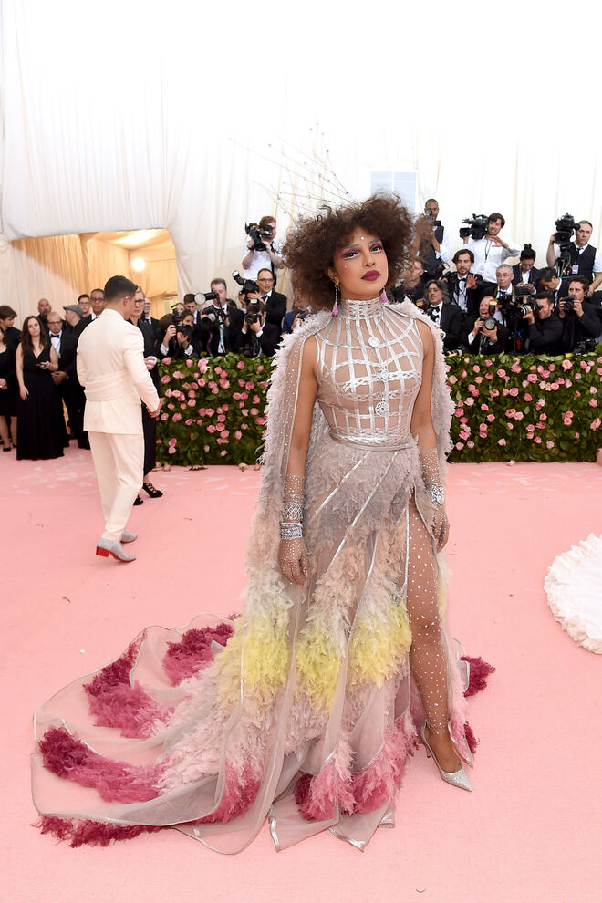 Priyanka Chopra em Dior