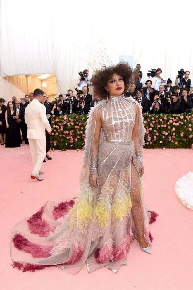 Priyanka Chopra em Dior