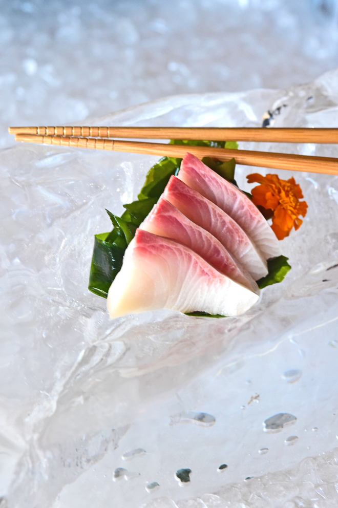 Sashimi Yellowtail