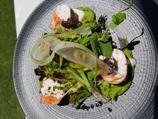 Salada de Salmão mi-cuit, com aipo, maçã e ervilhas com molho de iogurte e cebolinho