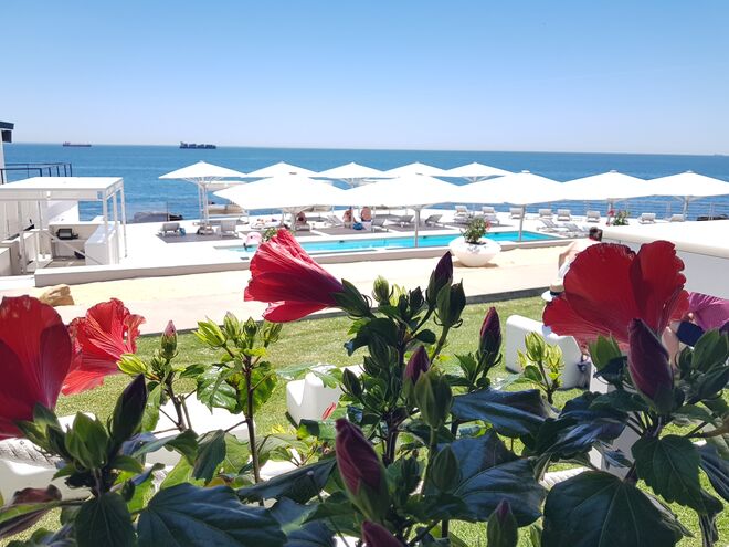 A vista do bar da piscina do Farol Hotel 