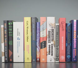 Oito mulheres são finalistas ao Man Booker Prize 2019