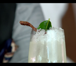 20190726_MAXIMA_COCKTAIL_DPO.mp4