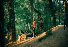 Paredes de Coura 2019