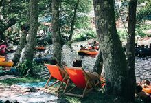 Paredes de Coura 2019