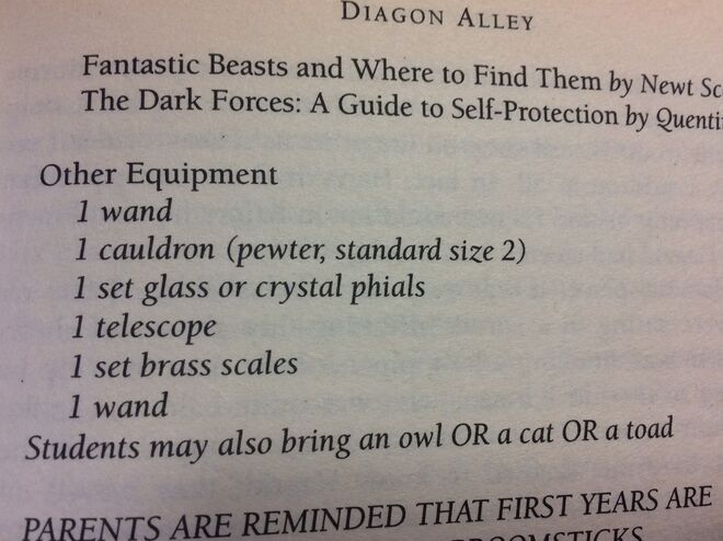 O outro erro desta edição está na página 53, onde consta a lista de equipamentos para a Escola de Magia e Bruxaria de Hogwarts e aparece duas vezes "1 varinha"