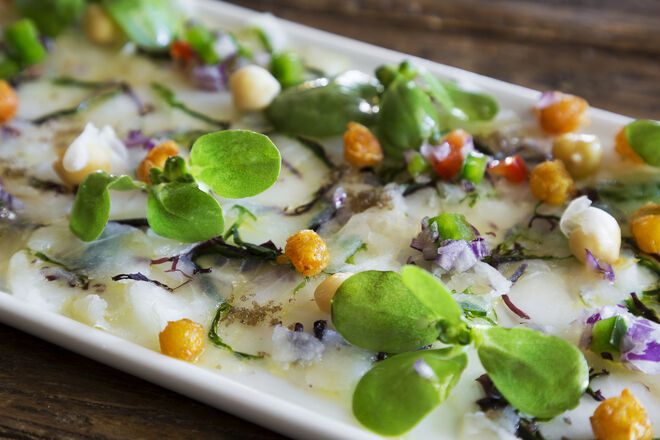 Carpaccio de bacalhau, grão e beldroegas