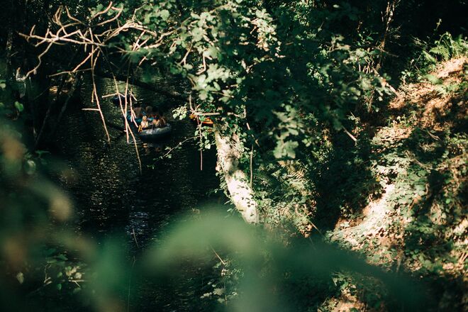 Paredes de Coura 2019