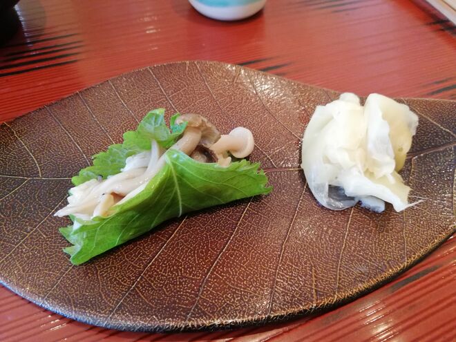 Shissô, erva aromática japonesa, com cogumelos