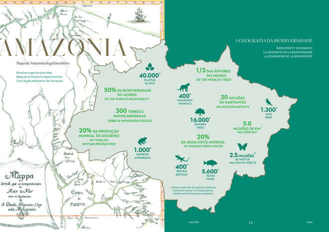 A Amazónia brasileira