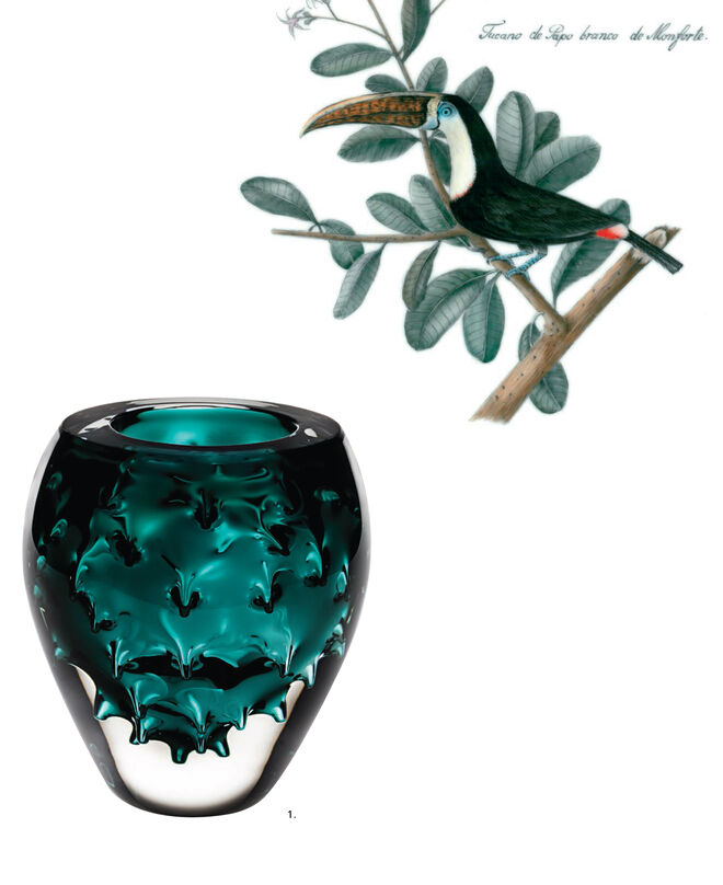 1. Jarra Verde Graviola 