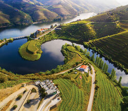 Vila Galé convida a visitar o Douro 