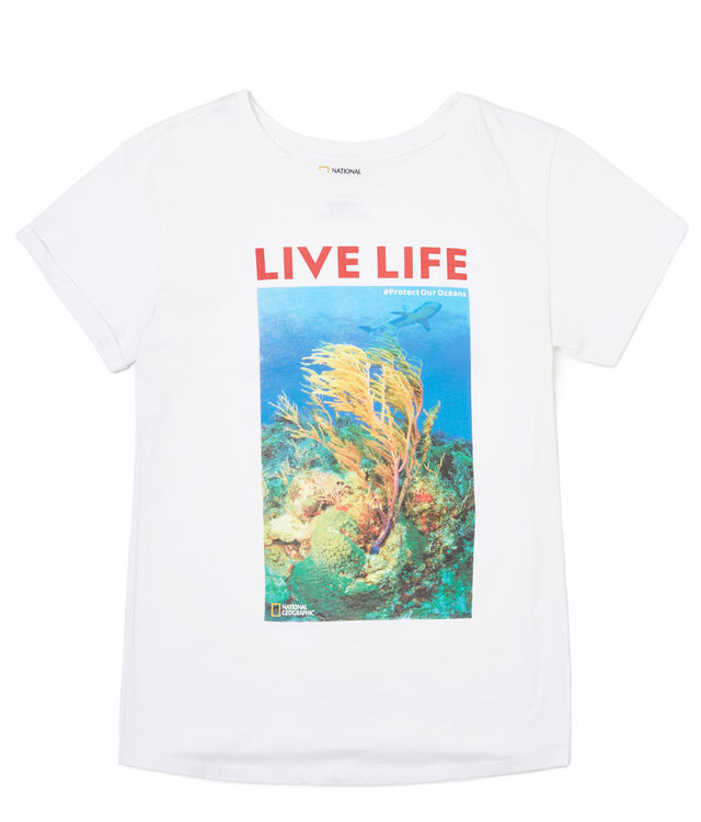 T-shirt, agora €9,99, Springfield