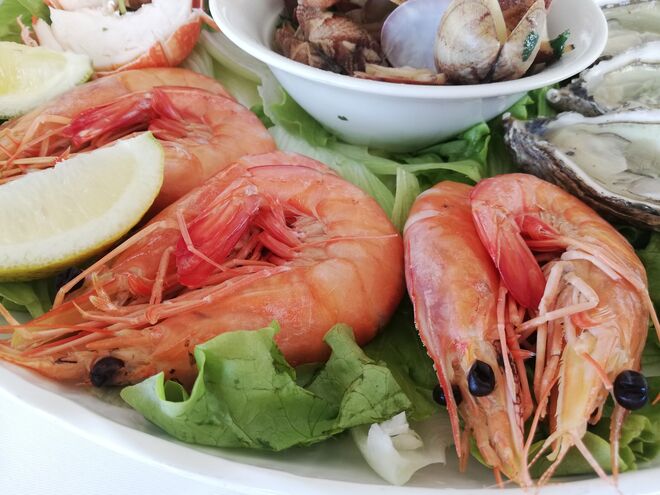 Camarões de Moçambique