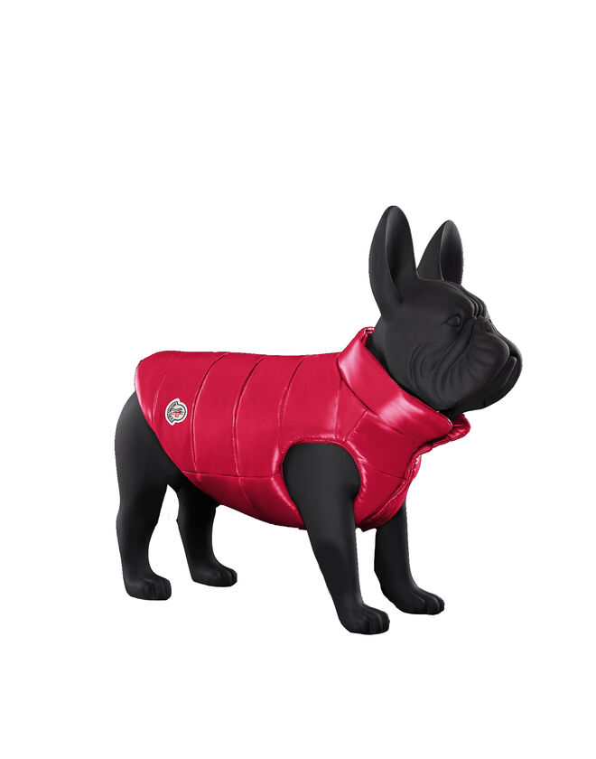 Casaco Mondog, €295, Moncler