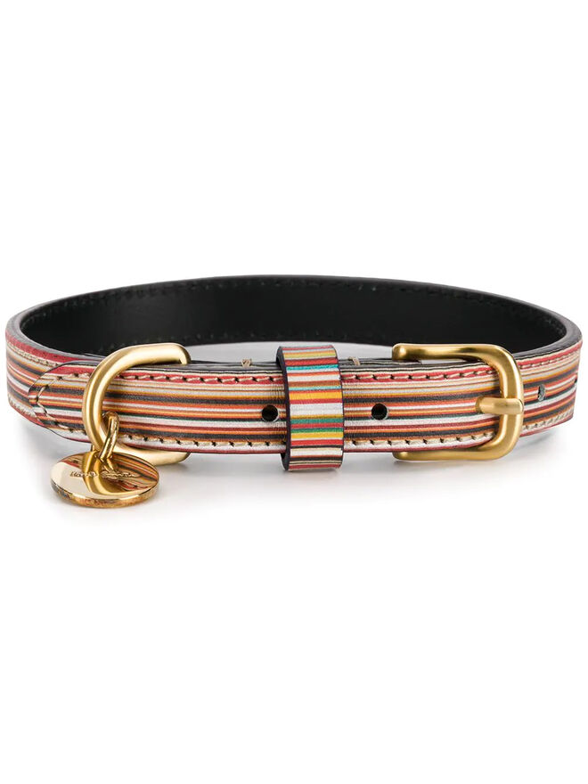 Coleira, €100, Paul Smith, em www.farfetch.com