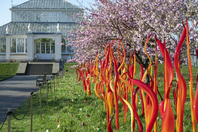 Cattails and Copper Birch Reeds, Dale Chihuly, 2015. Royal Botanic Gardens, Kew, Londres.