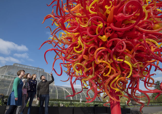 Summer Sun, Dale Chihu, 2018. Royal Botanic Gardens, Kew, Londres.