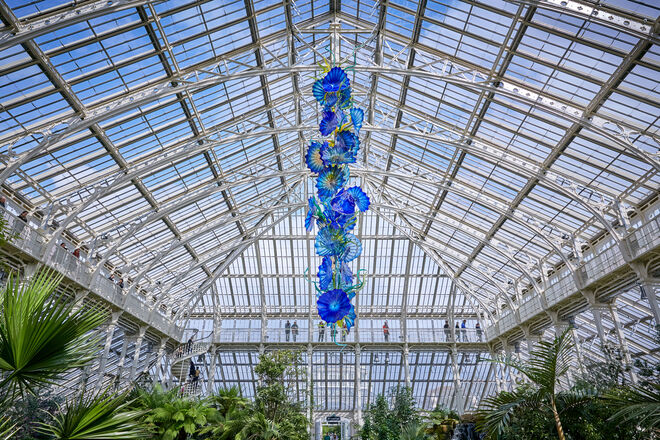 Temperate House Persians, Dale Chihu, 2018. Royal Botanic Gardens, Kew, Londres.