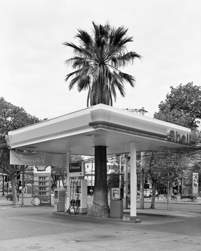 Série Quasi Oasis, 17, Santiago du Chili, 2012.