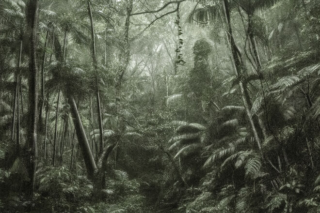 Série A Picturesque Voyage Through Brazil, #37, Cássio Vasconcellos, 2015.