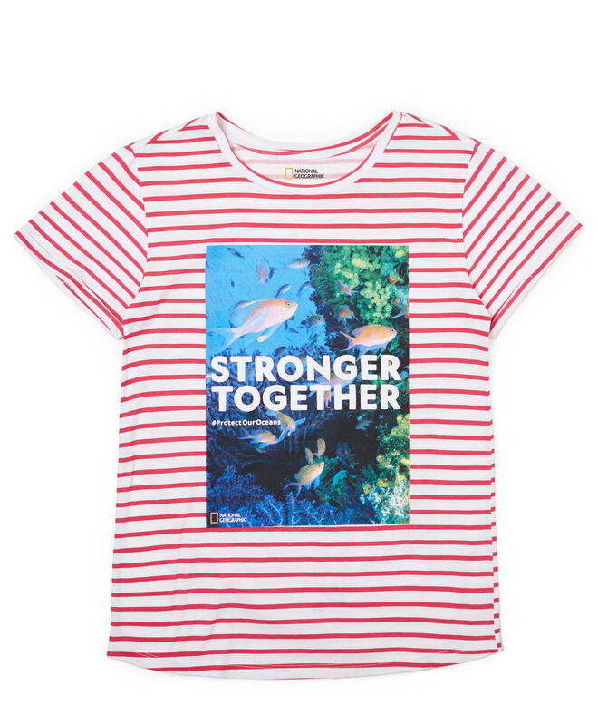 T-shirt, agora €9,99, Springfield