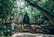 Uma casa na árvore em plena Lisboa