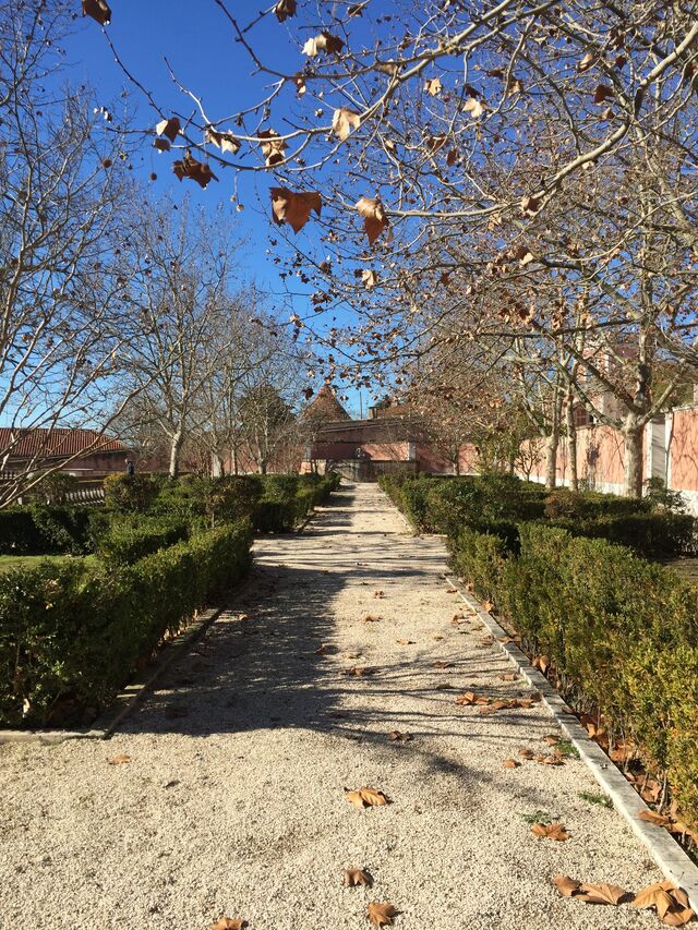 Sunset Party no Jardim Botânico da Ajuda. LisbonWeek 2019.