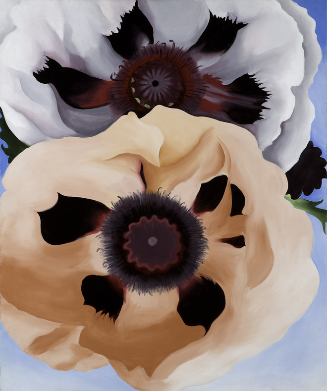 Poppies, O'Keeffe. 