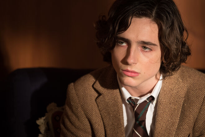 Timothée Chalamet é Gatsby Welles 