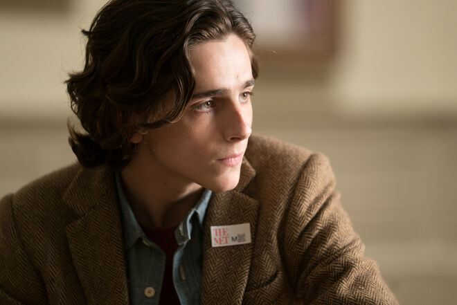 Timothée Chalamet é Gatsby Welles