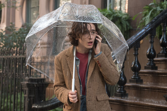 Timothée Chalamet é Gatsby Welles 