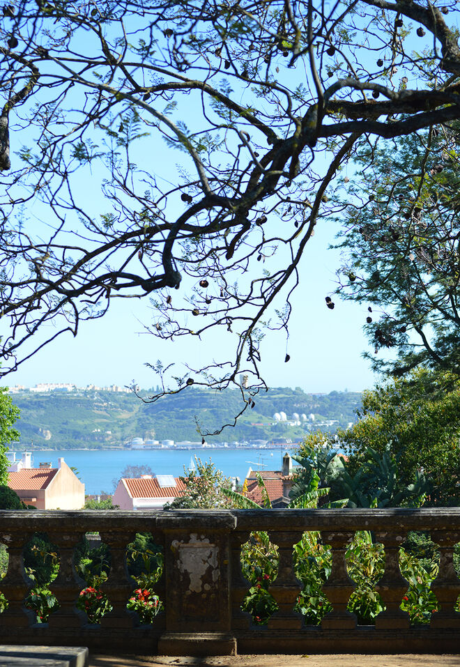 Visita cultural A Ajuda dos miradouros e moinhos. LisbonWeek 2019.