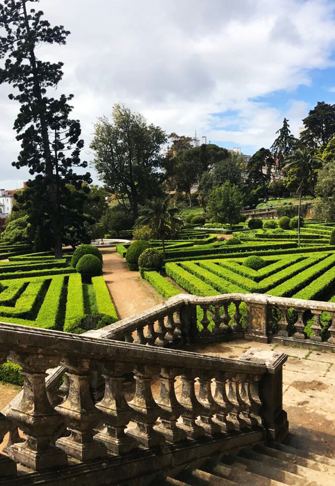 Jardim Botânico da Ajuda - Um património com 250 anos de História. LisbonWeek 2019.