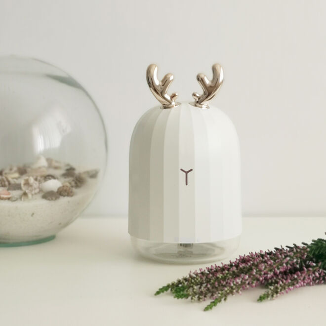 Ambientador Rena Branco, €30, Banak Importa 